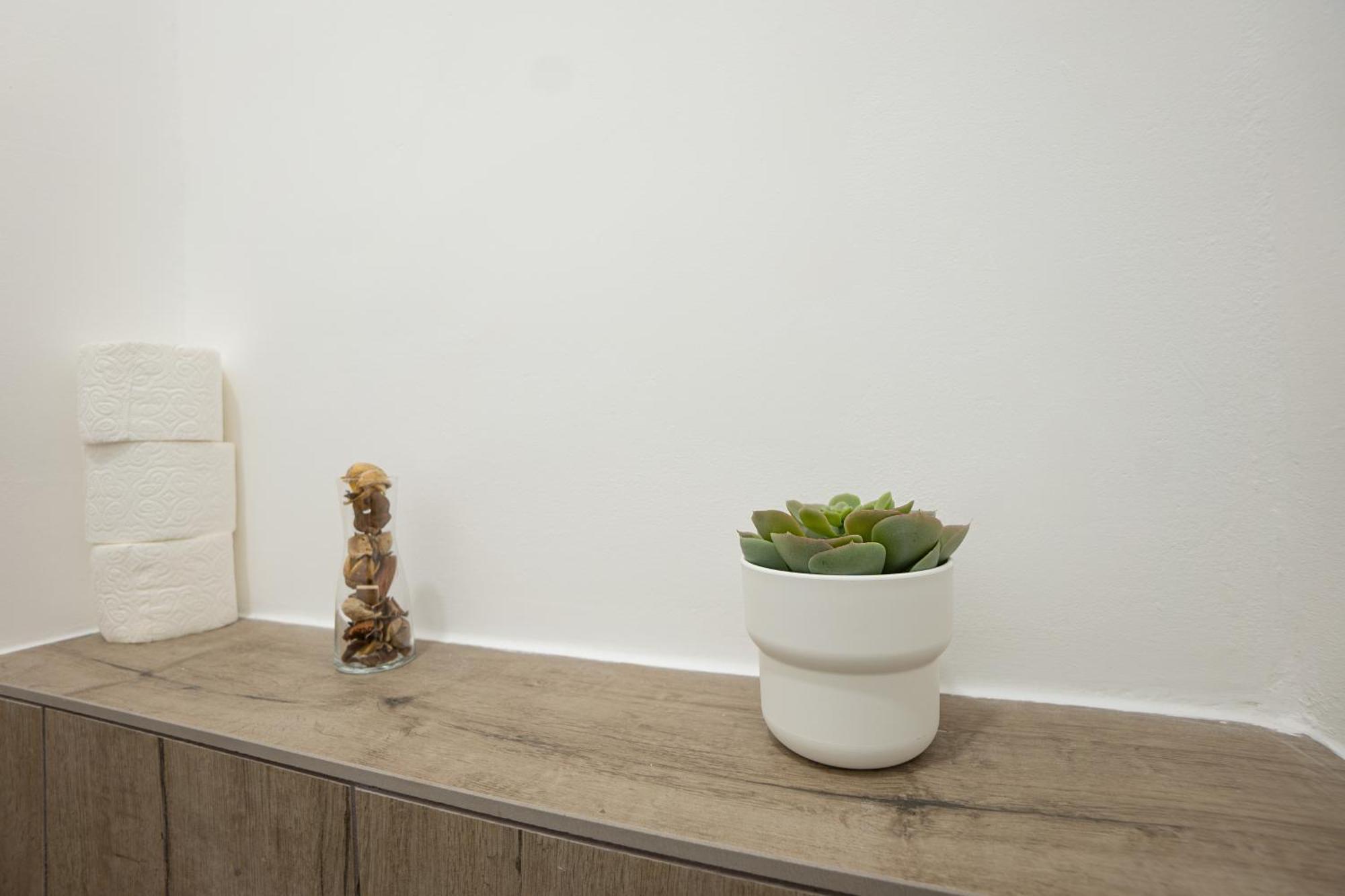 71m² Modern In The Heart Of The Wien
