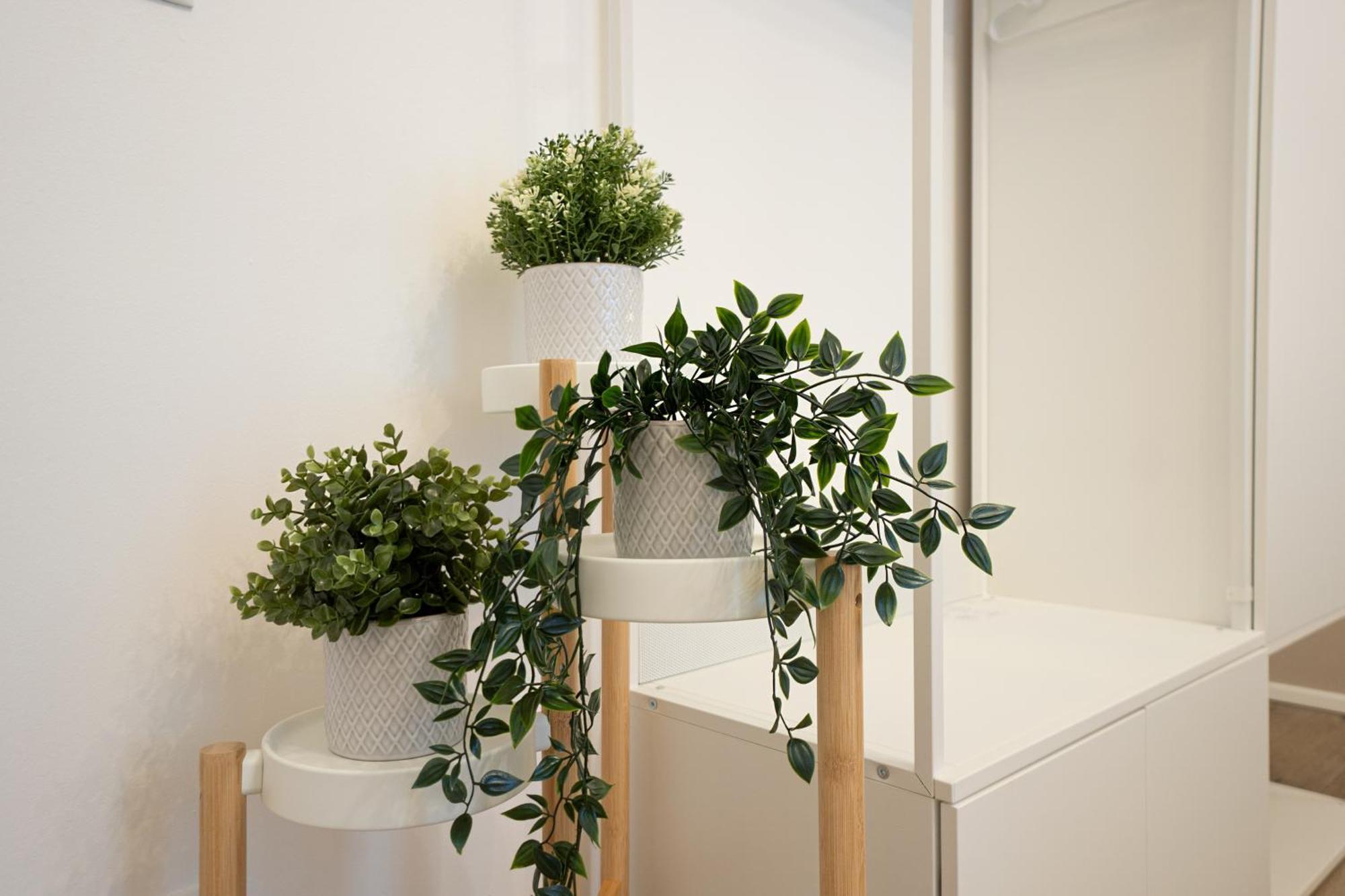 Apartment 71m² Modern In The Heart Of The